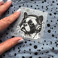 Bügelbild Music French Bulldog klein – Bulldogge mit Kopfhörern, in der Hand gehalten