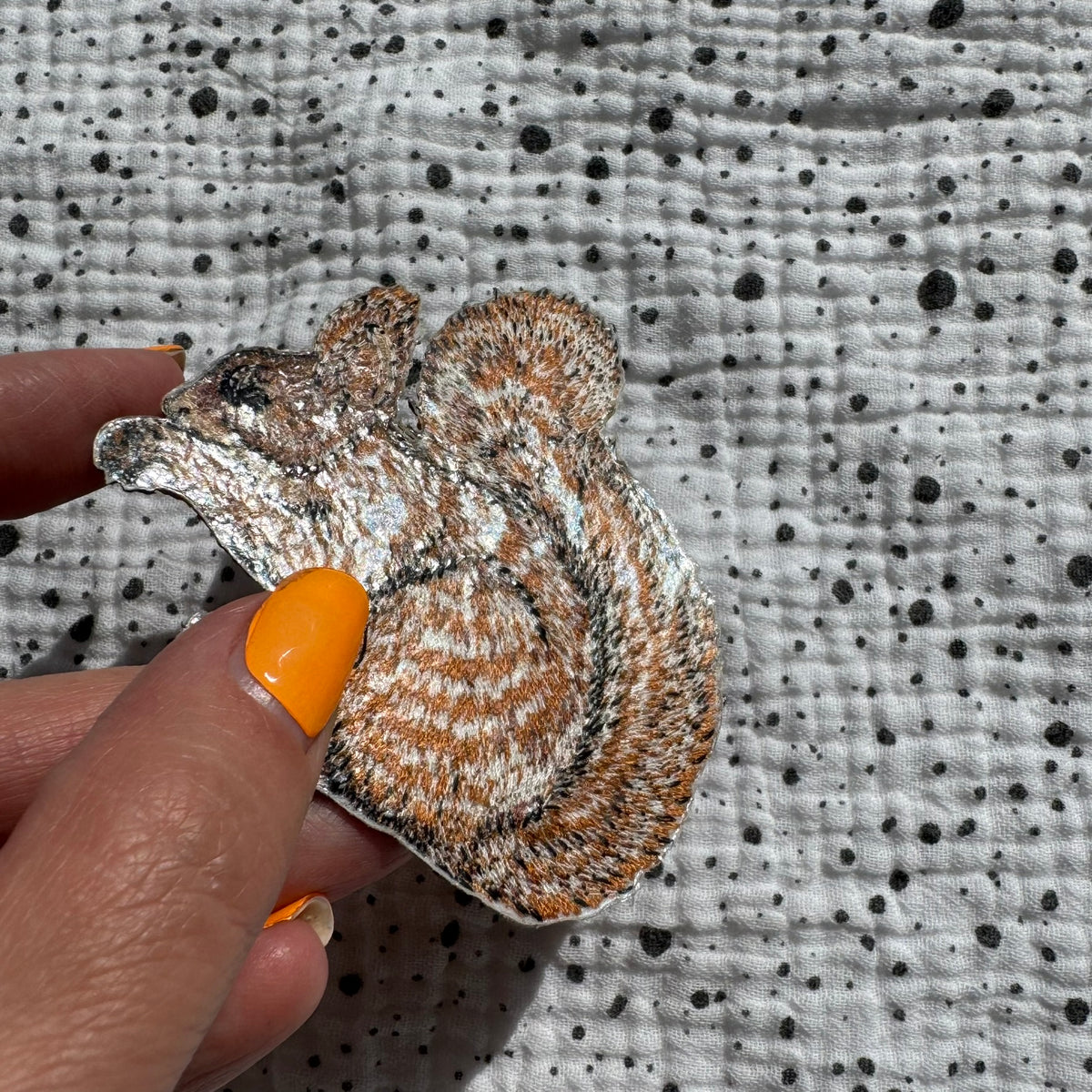 Patch Eichhörnchen – Detail