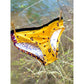 Damen Schlüppi Schnittmuster – Damen-Panty aus Stoffresten mit gelbem Konfetti-Print und kontrastierenden Leoparden-Seitenteilen sowie sichtbar angenähtem schwarzem Gummibund